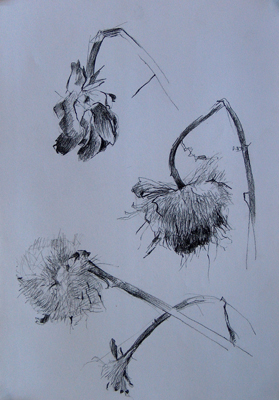 artichokes1