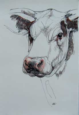 cow's head