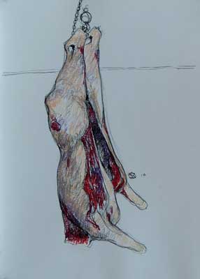 ox carcass